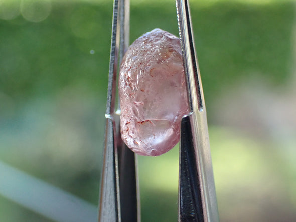 Champagne Garnet, Color-Change 269