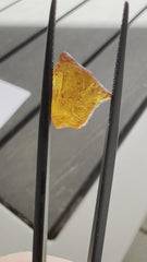 7.42 Orange Spessartine Garnet 101